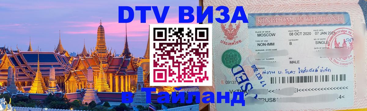 Оформление DTV визы под ключ: стоимость и тарифы, только загранпаспорт - 
